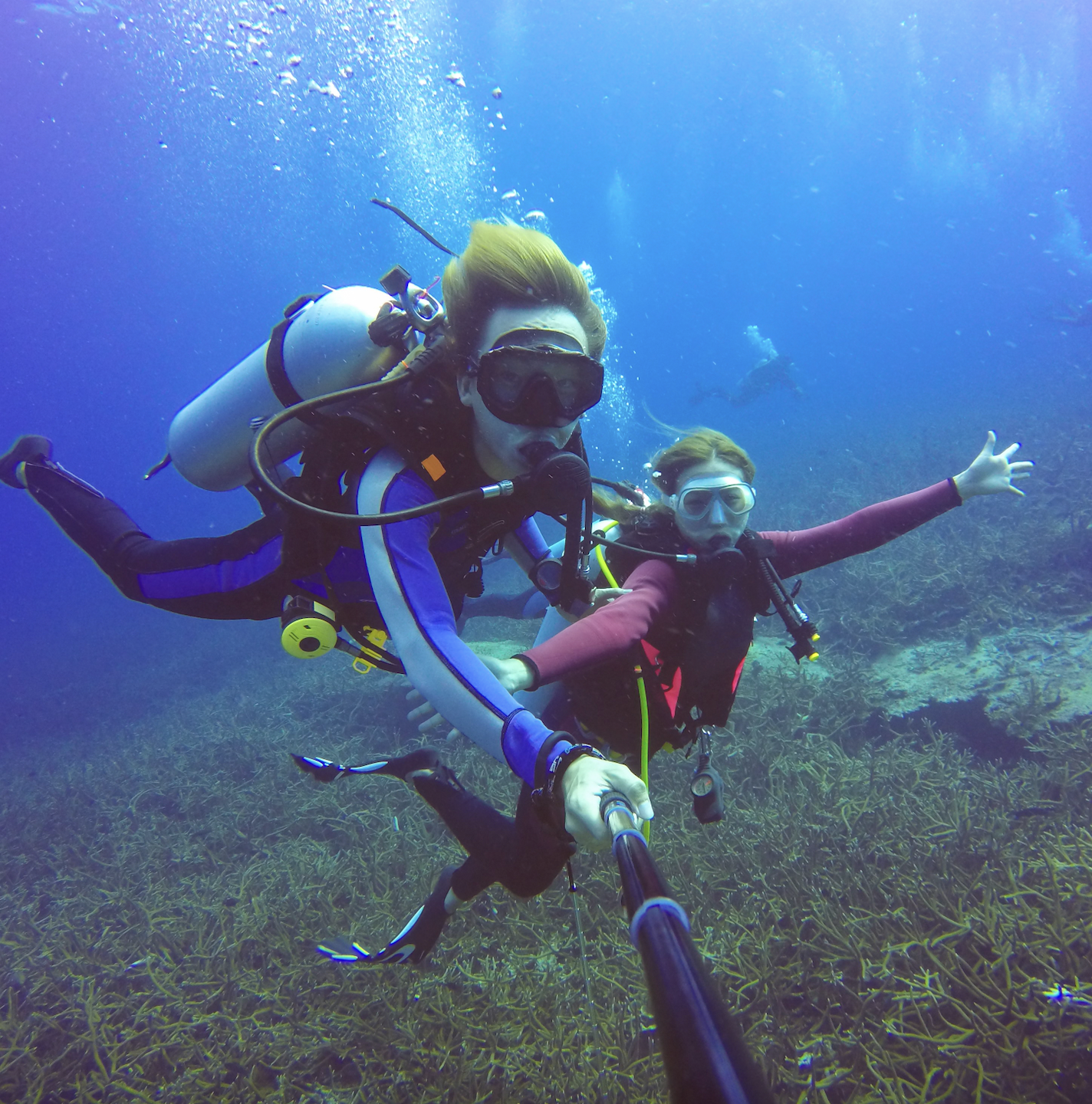 diving playa herradura beach puntarenas pacific coast of costa rica in central america